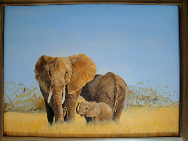 happy-family-elephants
