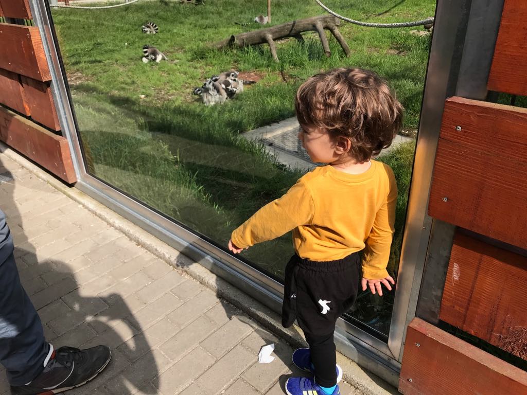 Grădina zoologică din Sibiu miruna ioani