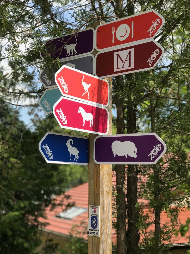 Grădina zoologică din Sibiu miruna ioani