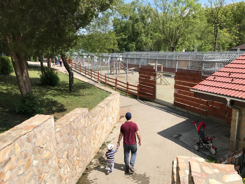 Grădina zoologică din Sibiu miruna ioani