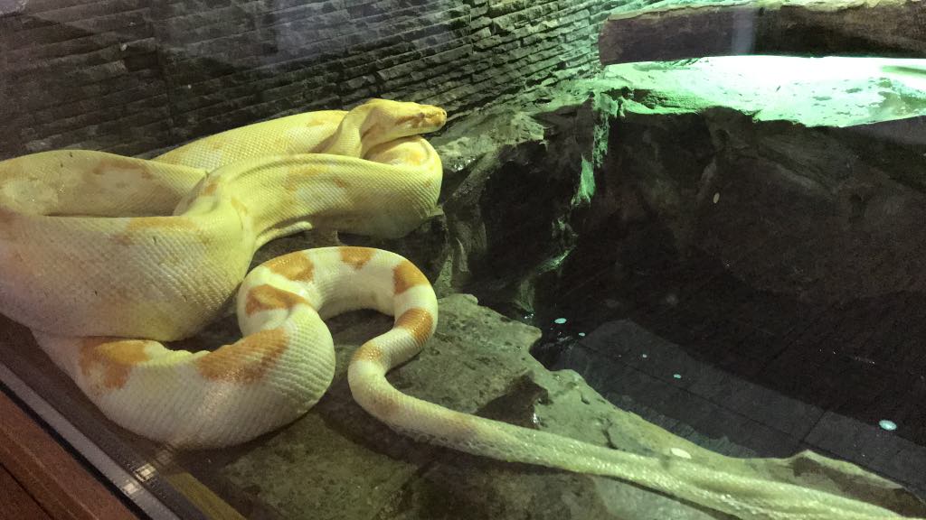 Grădina zoologică din Sibiu miruna ioani