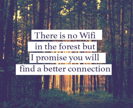 tabără copii familie lumea lui momo miruna ioani