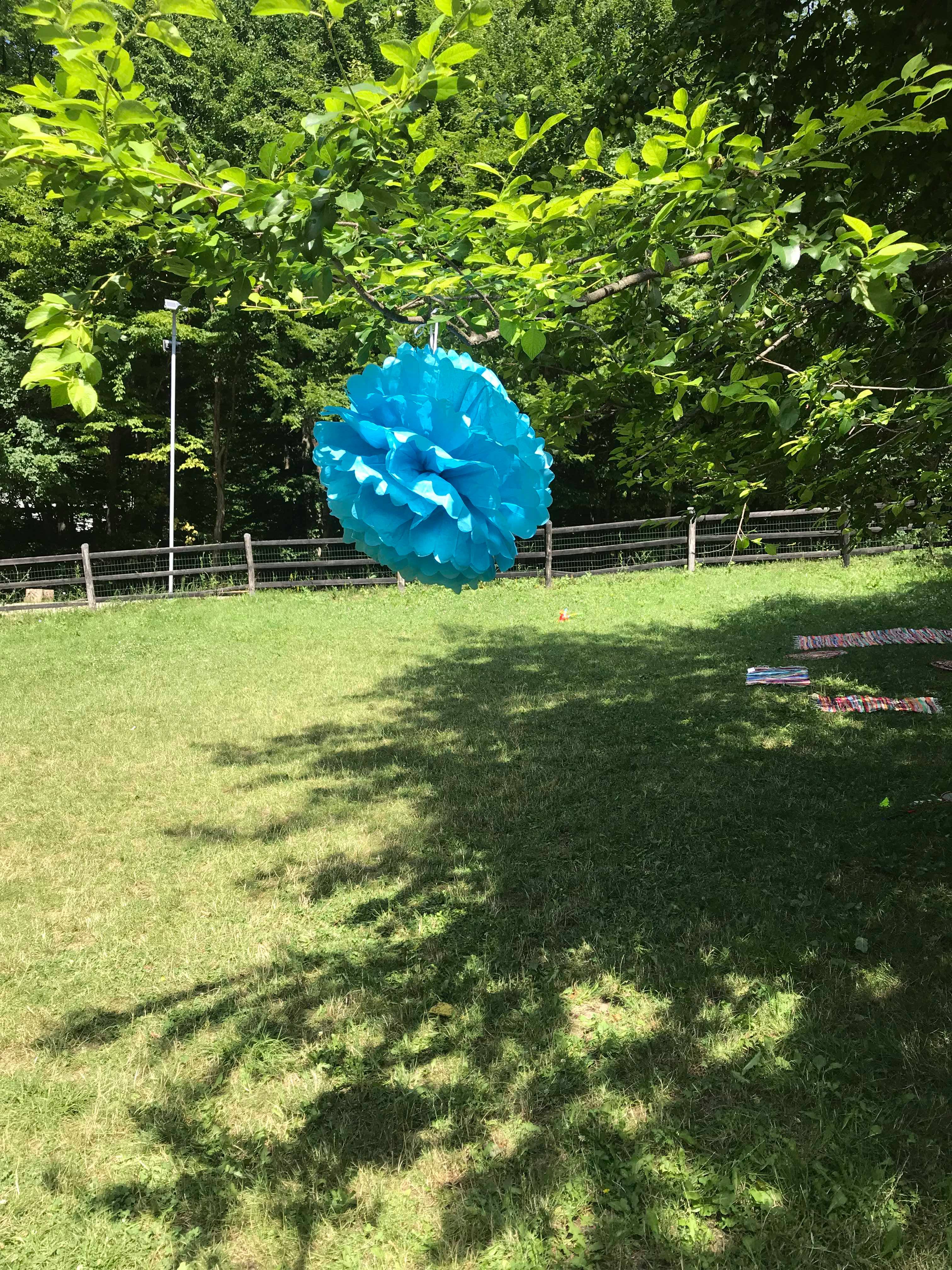 tabără familie copil lumea lui momo miruna ioani