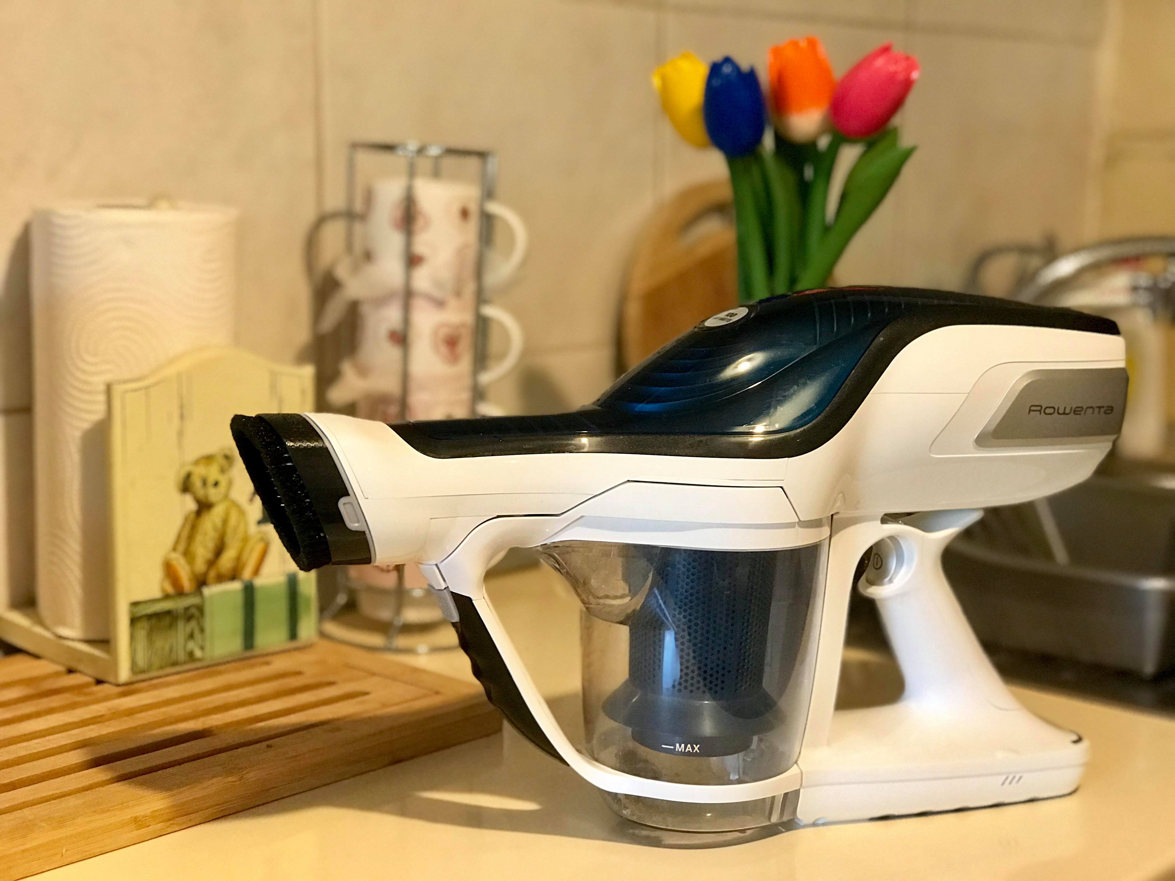 rowenta aspirator brat flex miruna ioani